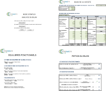 Calcul des ratios du bilan